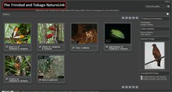 Desktop Screenshot of gallery.ttnaturelink.com